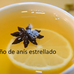 anís estrellado