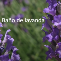 baño de lavanda